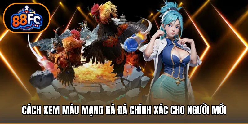 Cách xem Màu mạng gà đá chính xác cho người mới
