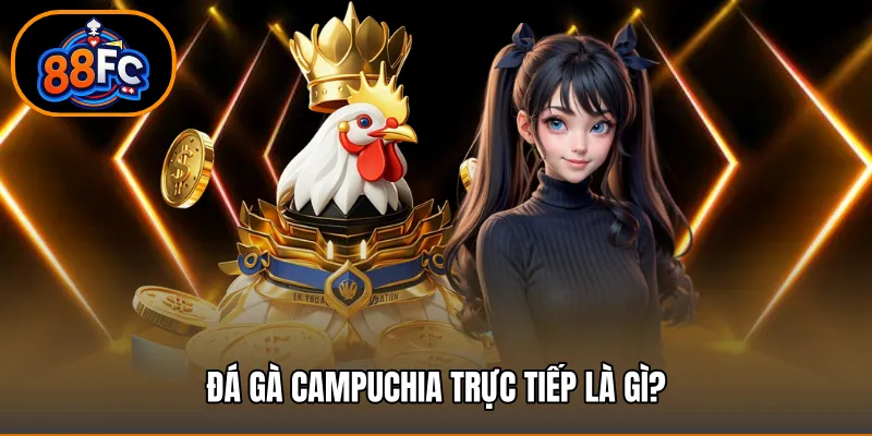 Đá gà campuchia trực tiếp là gì và vì sao được ưa chuộng