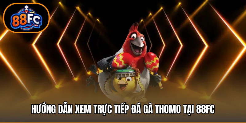 Hướng dẫn xem trực tiếp đá gà thomo tại 88FC