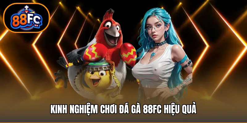Kinh nghiệm chơi đá gà 88FC hiệu quả