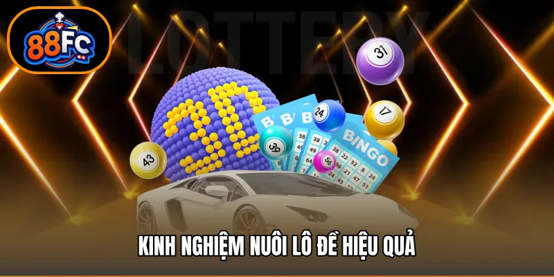 Kinh nghiệm nuôi lô đề hiệu quả