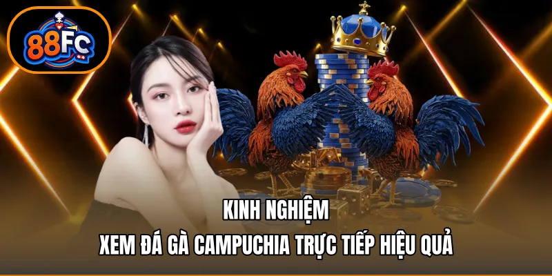 Kinh nghiệm xem đá gà campuchia trực tiếp hiệu quả