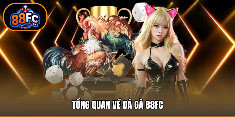Tổng quan về đá gà 88FC